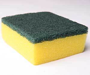 clean dish sponge